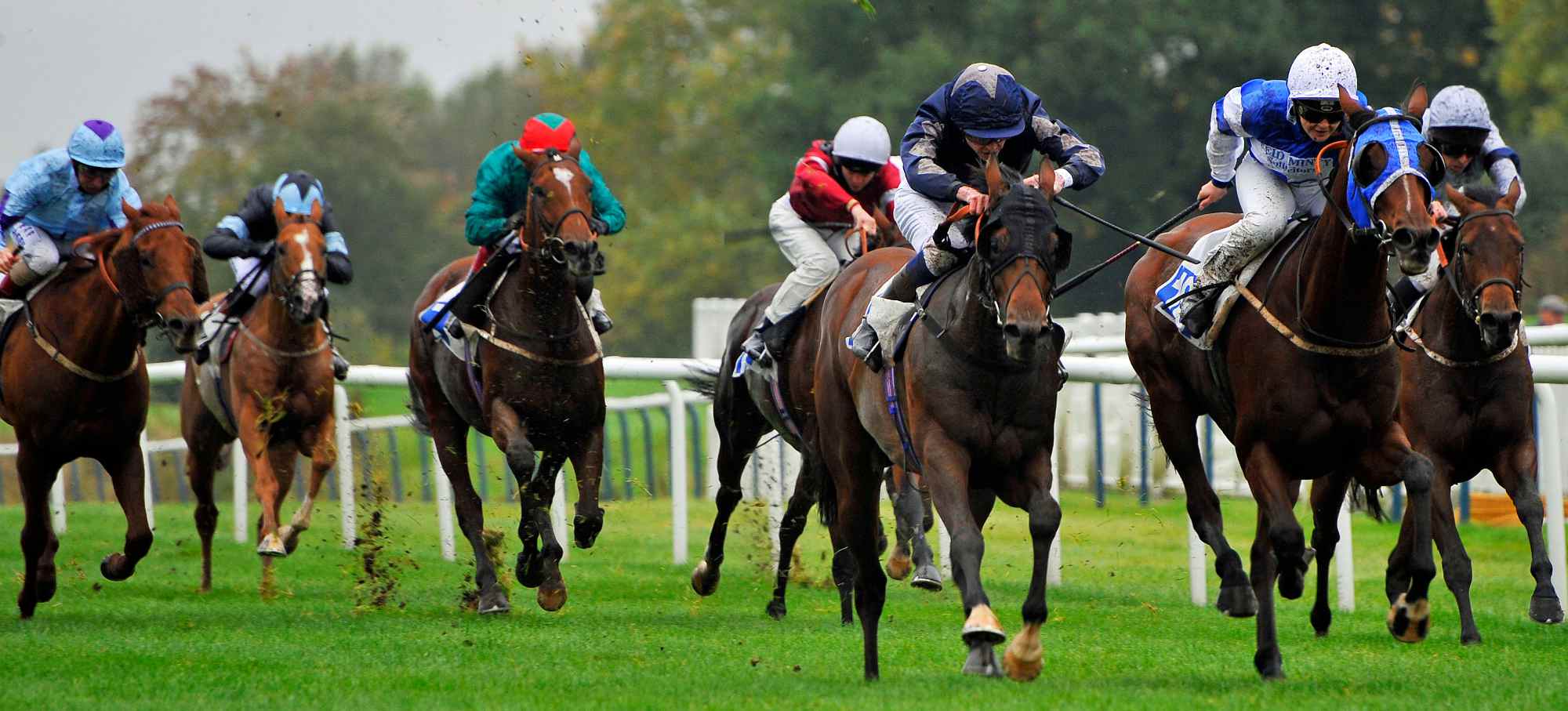 Leicester Racecourse Horse Racing Leicester Race Day Restaurant Leicester Racecourse Horse Racing Leicester Race Day Restaurant